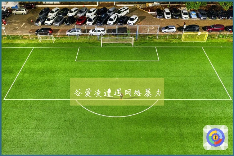 谷爱凌遭遇网络暴力