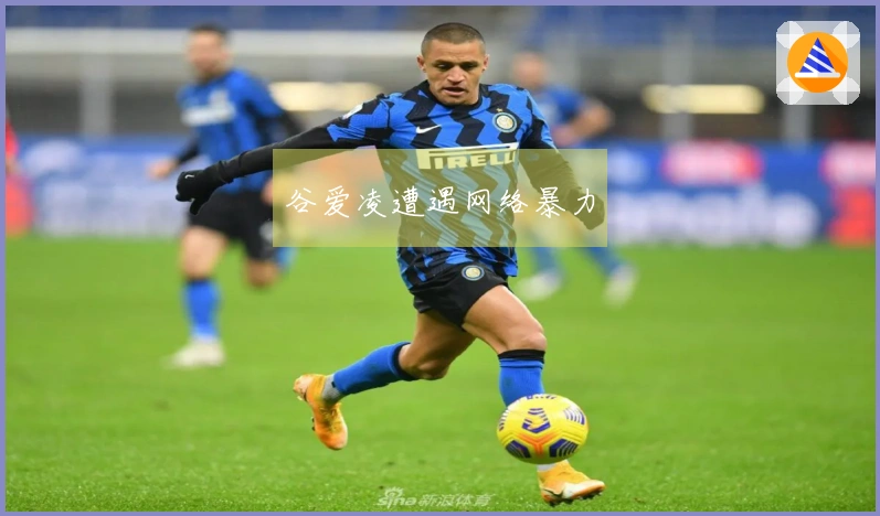 谷爱凌遭遇网络暴力